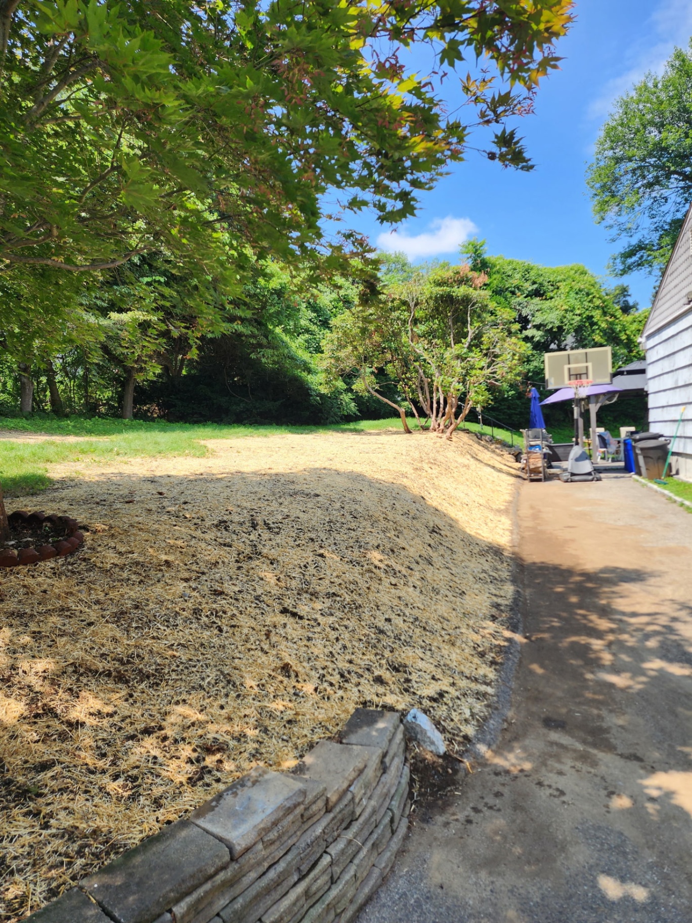 Yard restored after tree work